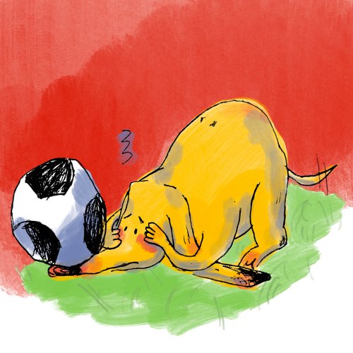 Le supporter de foot